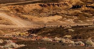 圣地亚哥教士在 2024 年宣布将为其主场球迷提供免费的“棒球数据扫盲课程”